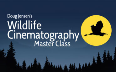 Wildlife Cinematography Master Class