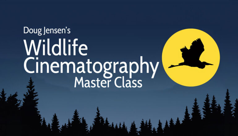 Wildlife Cinematography Master Class